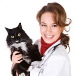 Online Doc mit Katze - Foto: fotolia