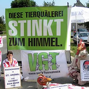 VGT in Aktion / Foto: VGT